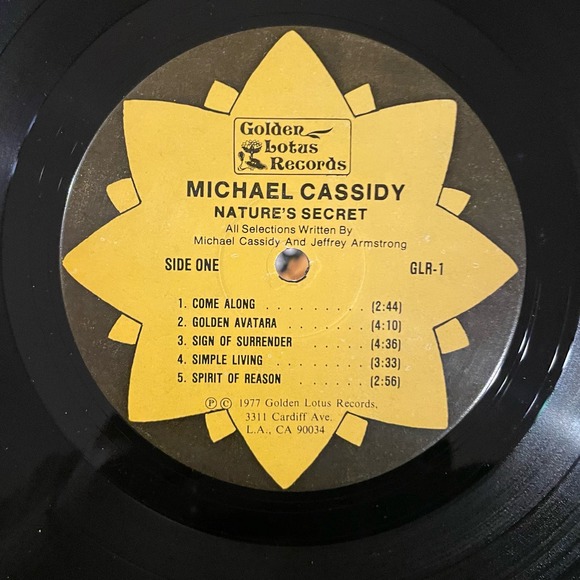 Michael Cassidy - Nature's Secret LP vintage vinyl record - Picture 4 of 4